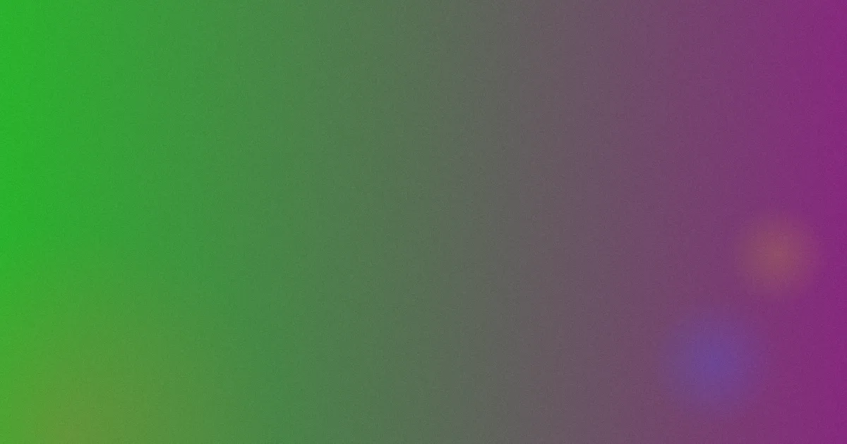 泰迪熊攻略：买哪种更合适